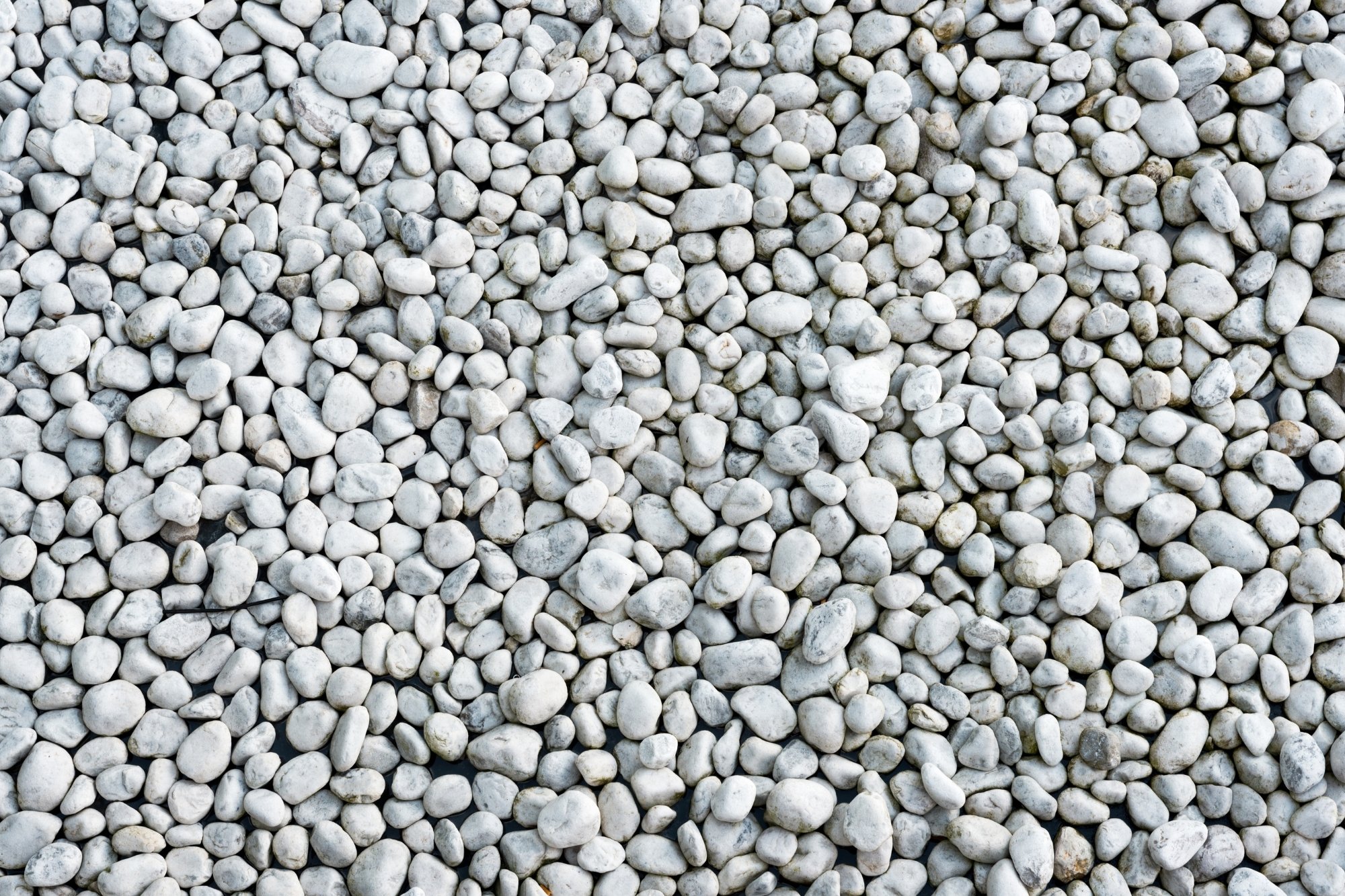 Inorganico Inorganico